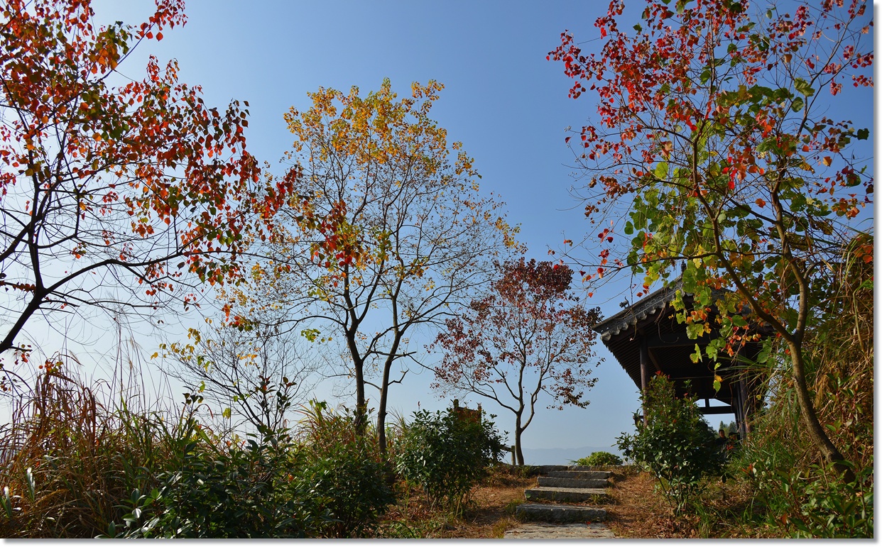 廊坊全力建设农业农村现代化强市