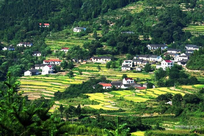 年复合增长率约16%的厨余垃圾如何处理？变成TA输入千家万户