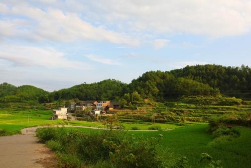 农膜污染治理获突破 无膜种植技术开辟绿色环保新路