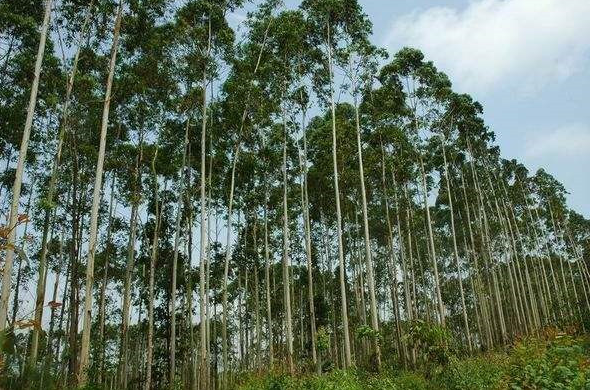 不为一个不锈钢洗脸盆折腰 家电“以旧换新”试试新玩法